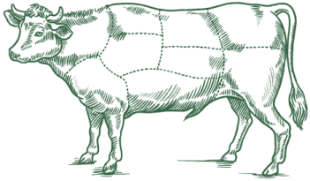 Illustration eines Rinds mit eingezeichneten Teilst&uuml;cken.