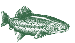 Ein Fisch schwimmt.